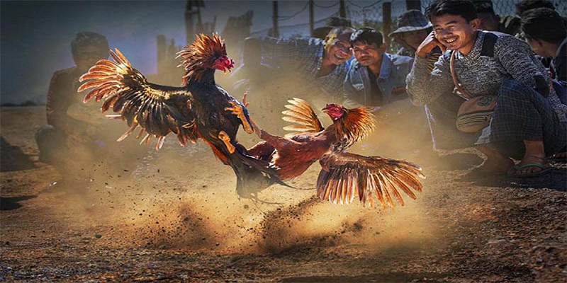 vietjack đăng nhập roulette số 1