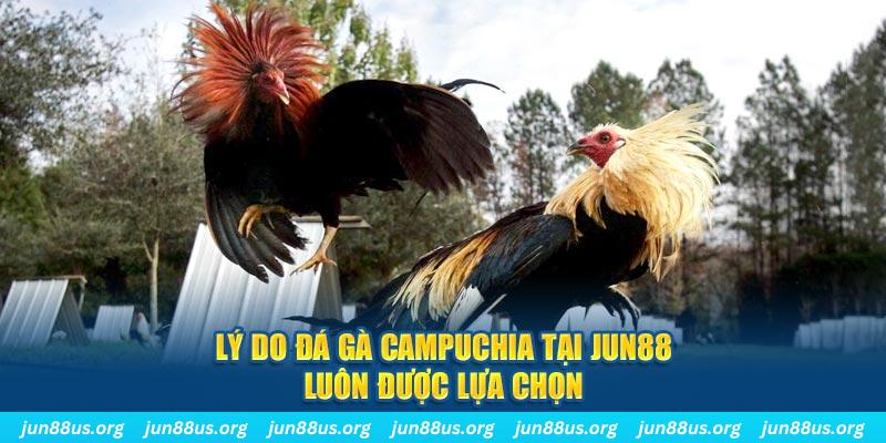 vietjack nổ hủ máy bay