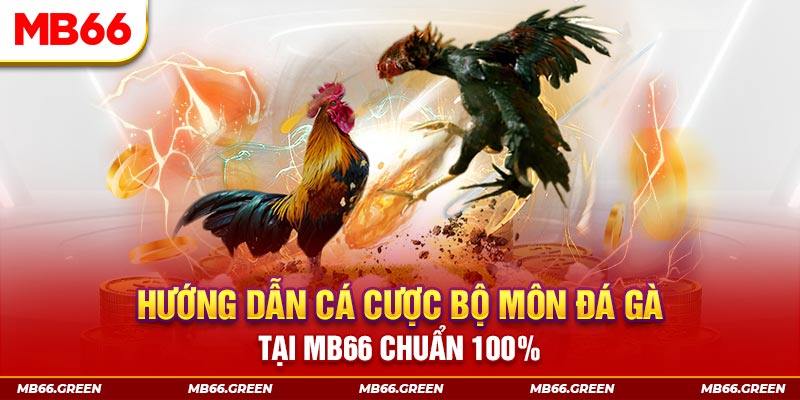 vietjack xổ số bình định