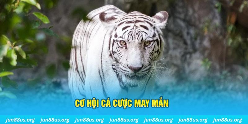 vietjack hết slot la gì