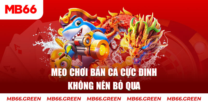 vietjack casino ở đâu