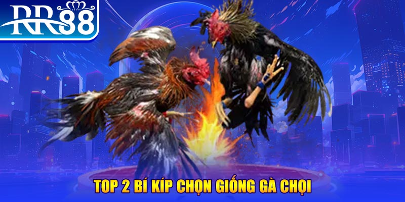 vietjack đăng nhập roulette dễ thắng