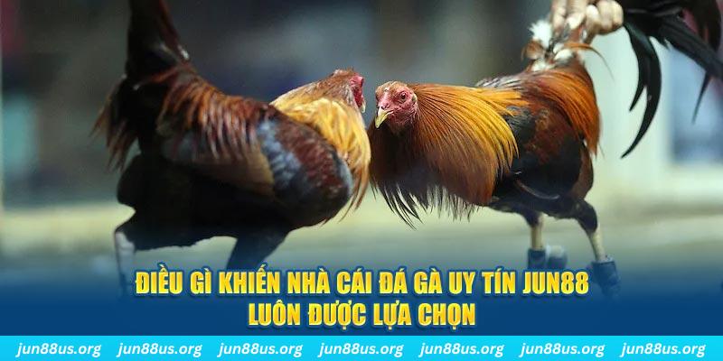 vietjack qq88 nổ hũ bắn cá