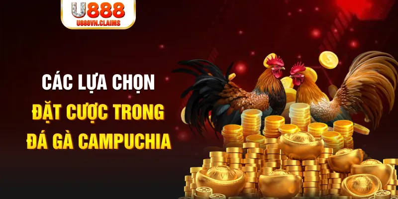 vietjack SW Xổ Số