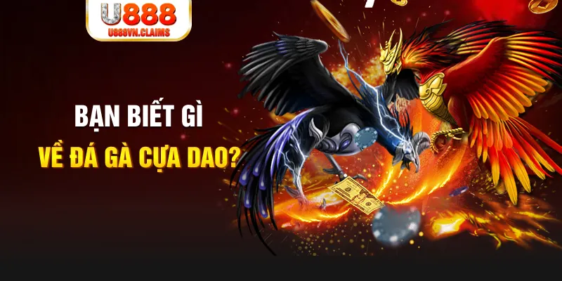 vietjack xổ số kiến thiết