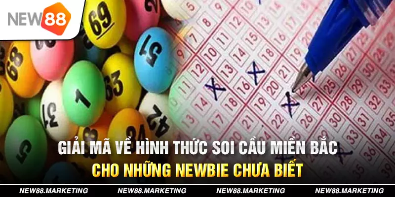 vietjack đăng nhập mậu binh live