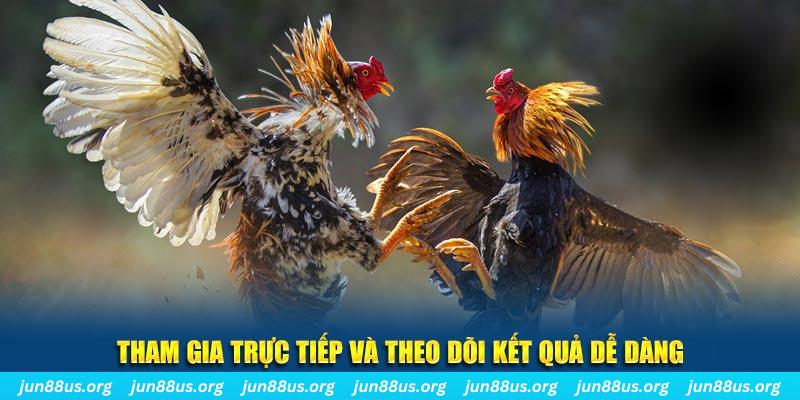 vietjack đá gà trực tiếp bình luận viên