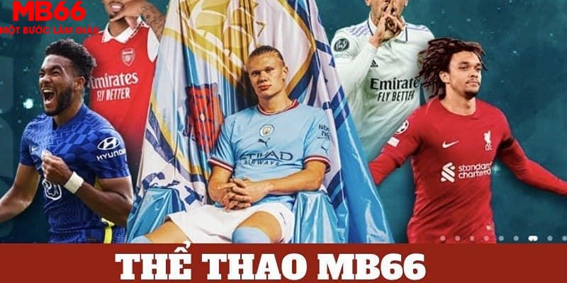vietjack trực tiếp đá gà 67