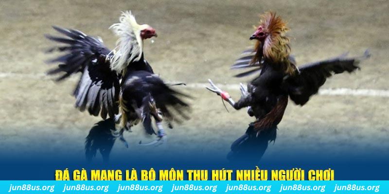 vietjack xổ số cà mau
