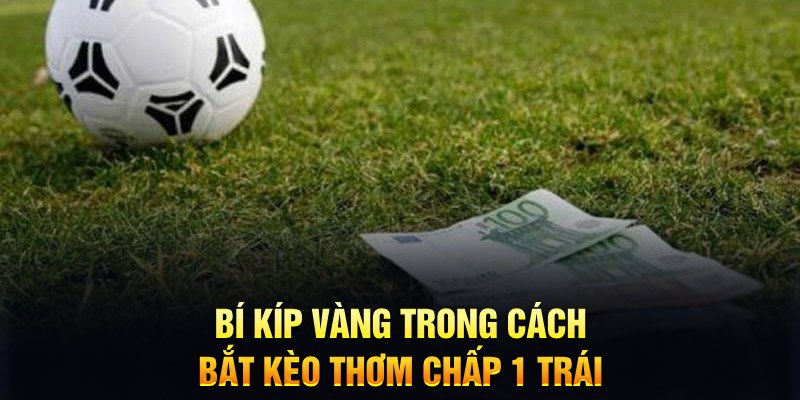 vietjack đăng nhập mậu binh mới nhất