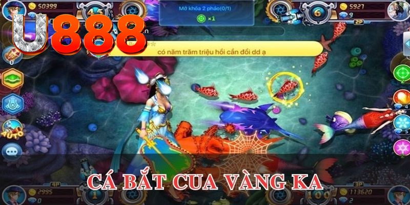 vietjack đăng nhập phỏm uy tín