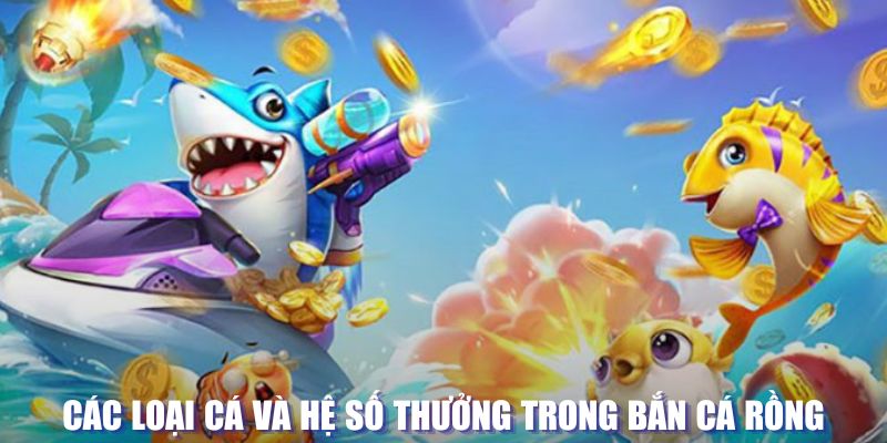 vietjack loi game dot kich ket noi may chu that bai