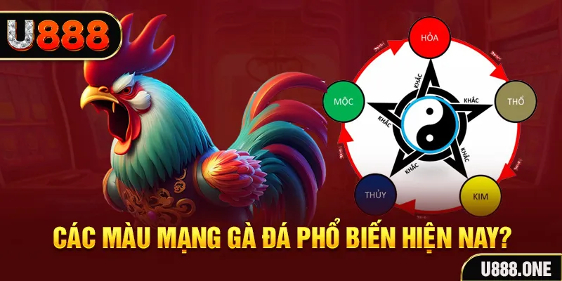 vietjack đăng nhập mậu binh