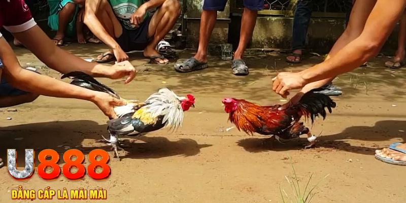 vietjack đăng nhập mậu binh rút tiền nhanh