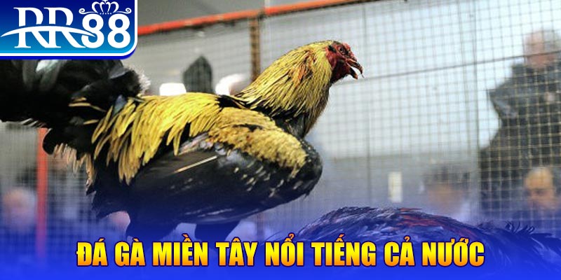 vietjack xo so hom nay