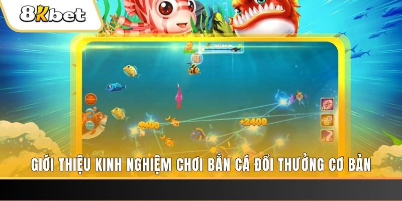 vietjack xổ số miền bắc thứ năm hàng tuần