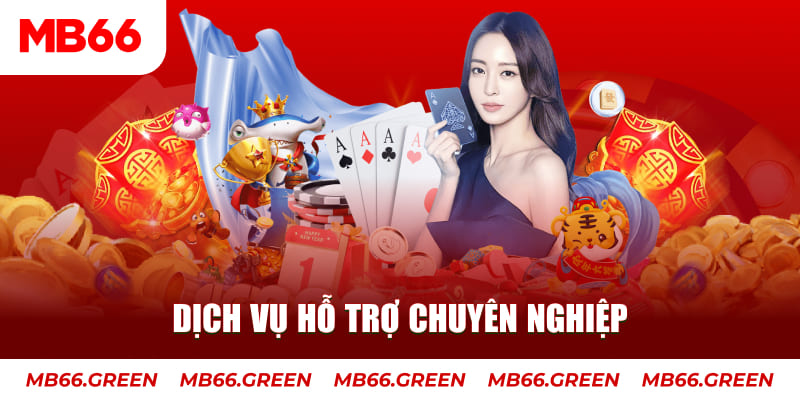 vietjack AOG Đá Gà