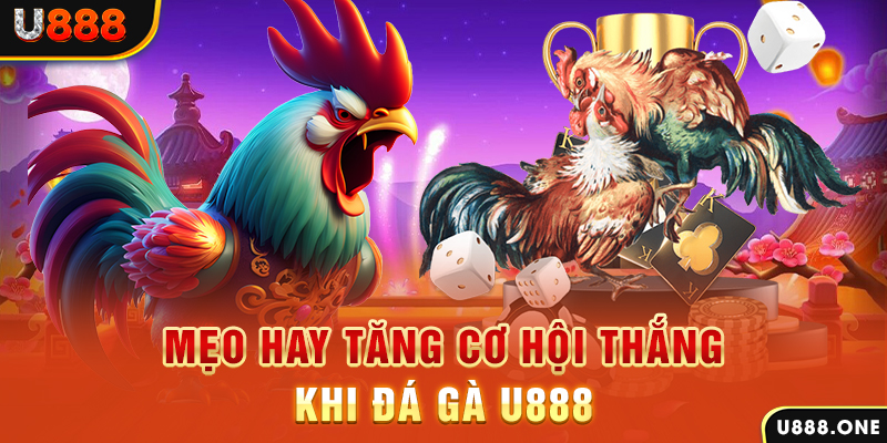 vietjack trực tiếp gà chọi c1