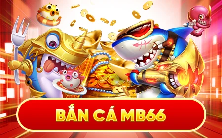 vietjack đá gà trực tiếp 67