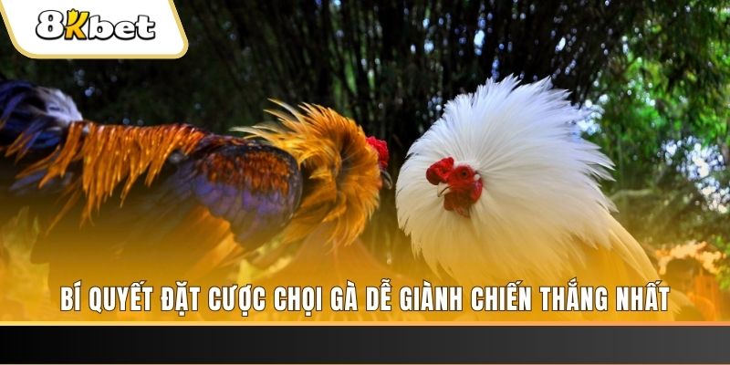 vietjack Tài Xỉu 2
