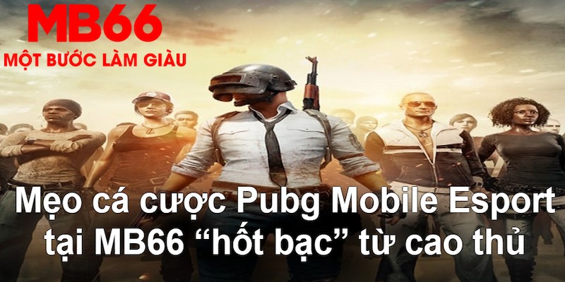 vietjack gà chọi mộc hóa