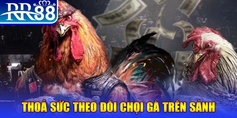 vietjack đá gà 88.com