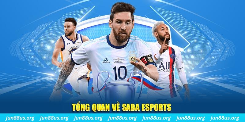 vietjack gà chọi c1 tv trực tiếp hôm nay