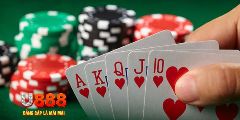 vietjack trực tiếp đá gà